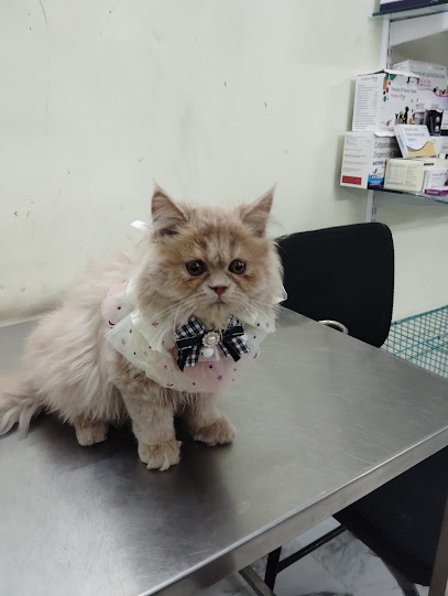 THE VET'S PET Clinic