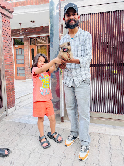 NONU PET SHOP