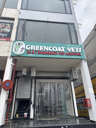 Greencoat Vets TDI | 24 Hours Pet Clinic | Pet Clinic Near Me | Vet Hospital | Greencoat