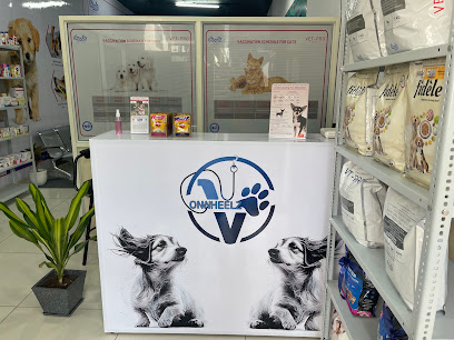 Vets On Wheelz / pet clinic in zirakpur