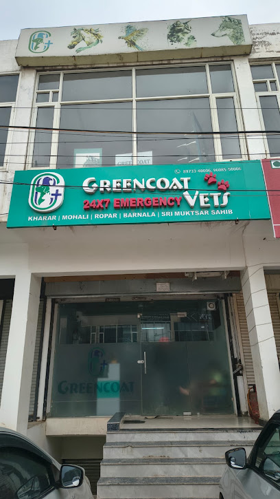 Greencoat Vets Pet Hospital - veterinary doctor