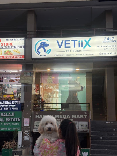 Vetiix Pet Clinic | Best Pet Clinic & Pet Grooming in Zirakpur