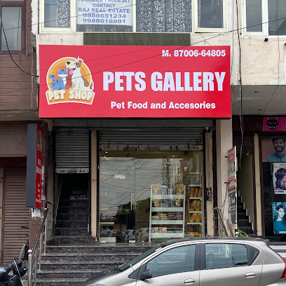 Pets Gallery