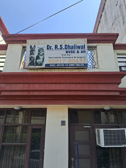 City Veterinary Hospital - Best Veterinary Clinic | Dog Vaccination | Animal Clinic In Kharar