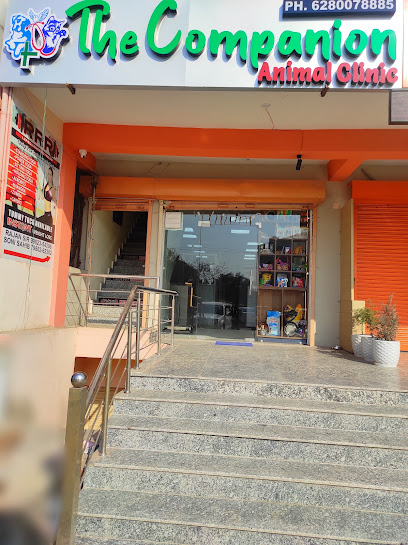 The Companion Animal Clinic
