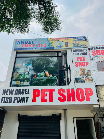 New angle fish point