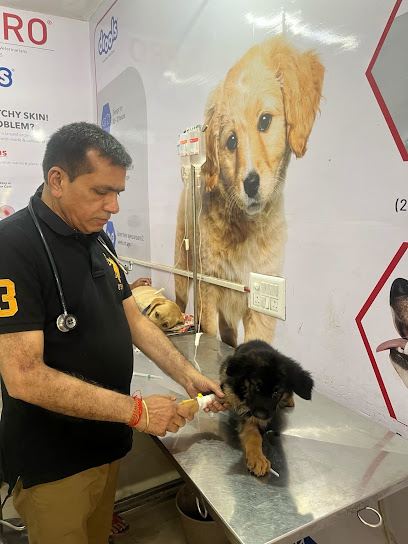 Pet Care Dog Clinic Panchkula