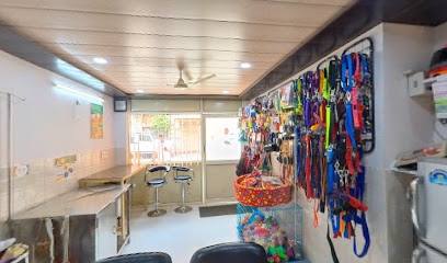 Pawsitive Steps Pet Care