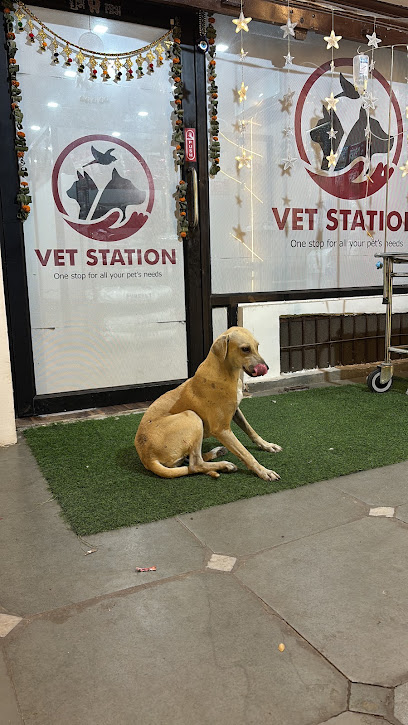 Vet Station