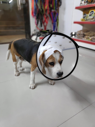 Little Paws Pet Clinic