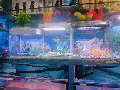 𝗗𝗲𝗲𝗽𝗮𝗸 𝗙𝗶𝘀𝗵 𝗔𝗾𝘂𝗮𝗿𝗶𝘂𝗺 - Aquarium Shop in Chandigarh