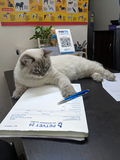 Petvet24 Veterinary Clinic
