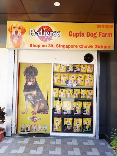 Gupta Dog Farm-Best Pet shop in Zirakpur