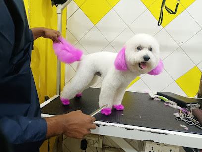 Zigly Pet Care Panchkula