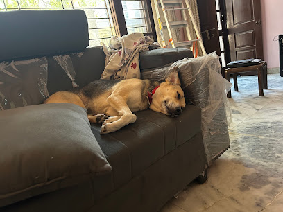 Leo pet hostel