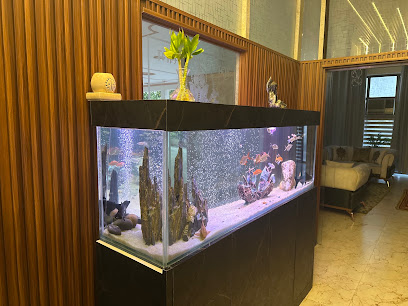 Nikhil Fish Aquarium
