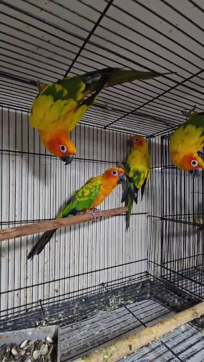 Acro Pet World