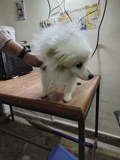 Dr Virks Pet Clinic