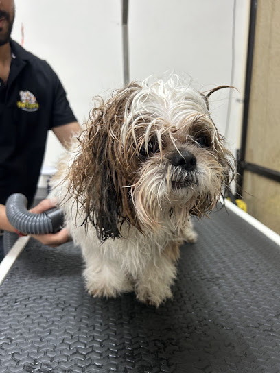 PetExpertz Pet Clinic