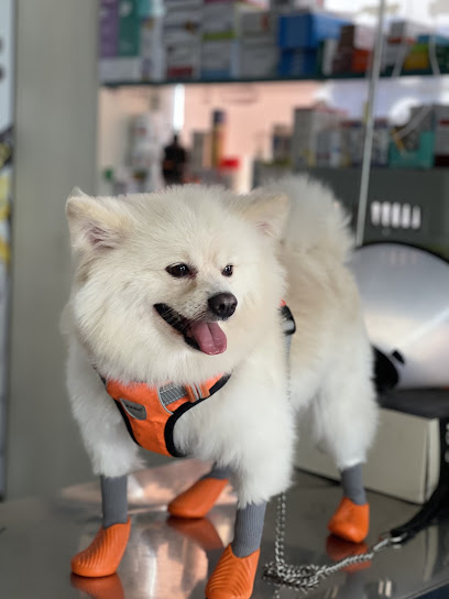 Gentle Paws Veterinary Clinic