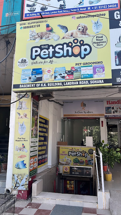 The Pet Shop Mohali Sohana