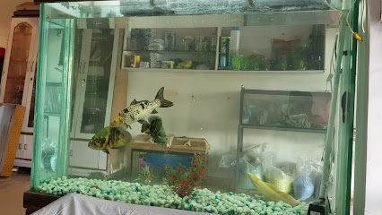 Riar Aquarium