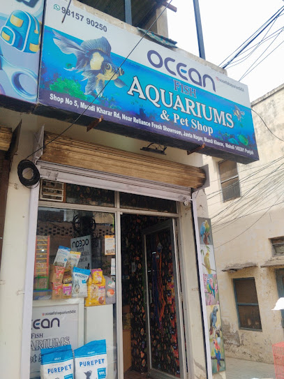 Ocean Fish Aquarium & Pet Shop, Mundi Kharar