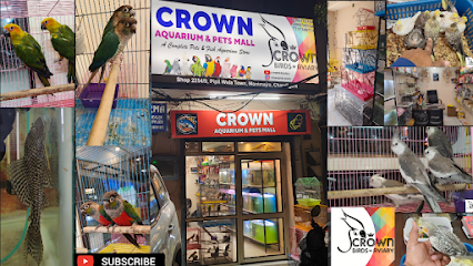 Crown birds aviary