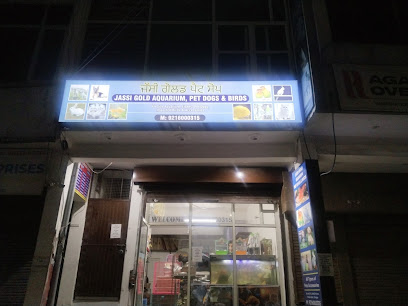 Jassi Gold Aquarium Pet Dogs & Birds