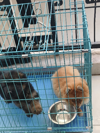 Harry dog farm