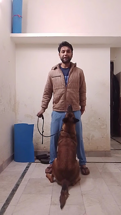 FireK9 || Professional Dog Trainer