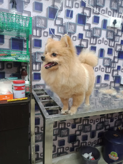 Luxury pet Care
