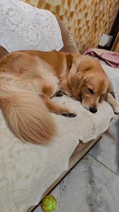 Jaani's paradise pet hostel