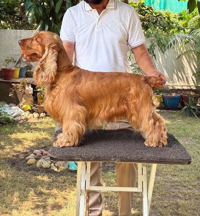 Ekta’s kennel