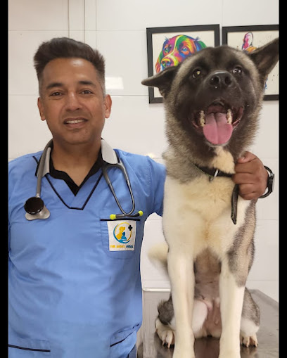 The Small Animal Pet Hospital