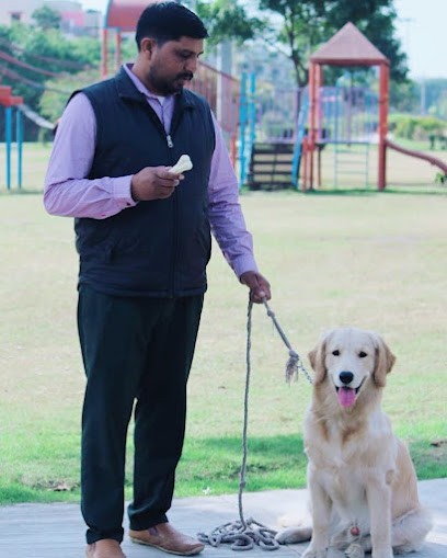 Pet Solution - Dog Training Center Chandigarh | Mohali