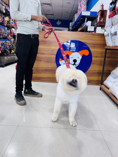 ThePetNest - Pet Store,spa &vet clinic in Panchkula Sector 20