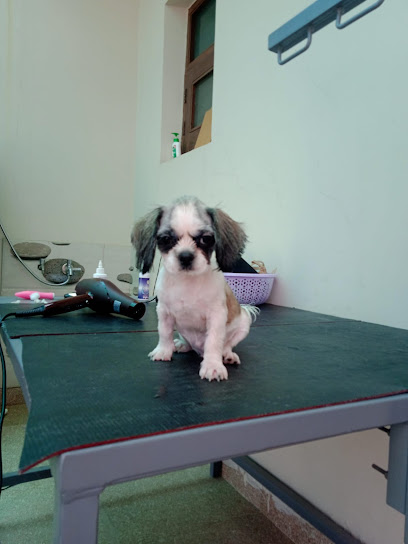 Pet’s Friend