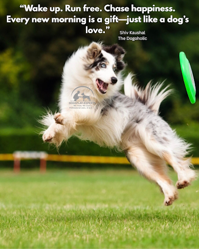 DOGSPLAY-EXPERTS