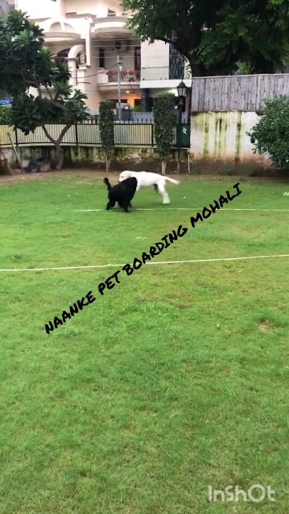 Naanke pet boarding And Day Care Services