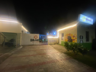 Brunos dog hostel