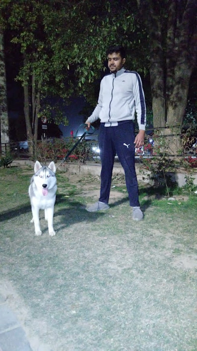 Dogstep Dog Hostel and training centre